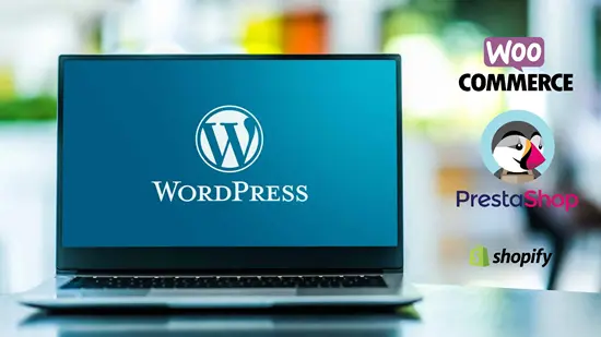 Site Web Vitrine (convert.io)